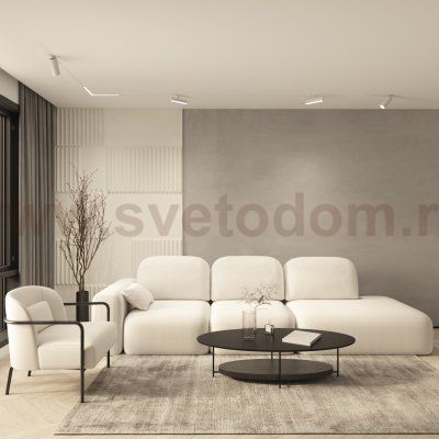 Светильник трековый Denkirs DK8020-WH