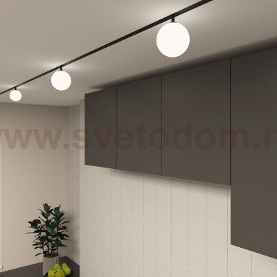 Светильник на шине Denkirs DK8050-BK SMART MOON