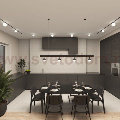 Светильник на шине Denkirs DK8050-BK SMART MOON