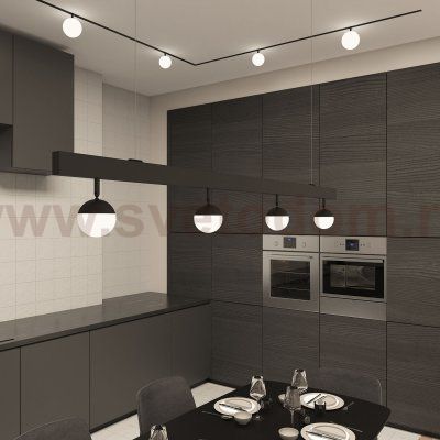 Светильник на шине Denkirs DK8050-BK SMART MOON