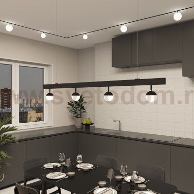 Светильник на шине Denkirs DK8051-BK SMART MOON