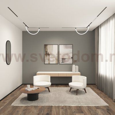 Светильник на шине Denkirs DK8060-BK SMART RAY