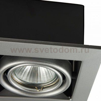 Встроенный светильник Maytoni DL008-2-01-S Metal