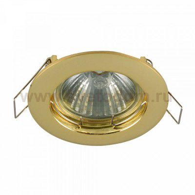 Встроенный светильник Maytoni DL009-2-01-G Metal