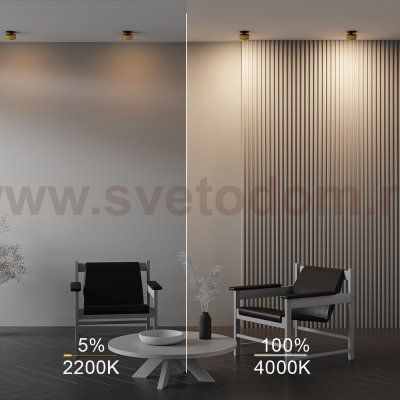 Встраиваемый светильник Maytoni DL024-12W-DTW-BMG Onda