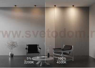 Встраиваемый светильник Maytoni DL024-12W-DTW-BMG Onda