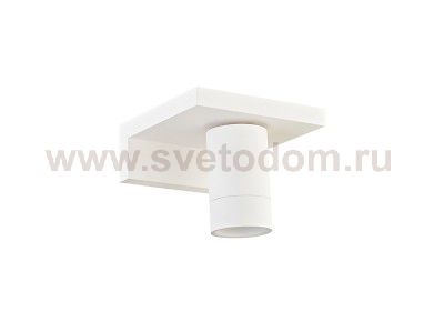 Светильник светодиодный Donolux DL18441/01 White R Dim