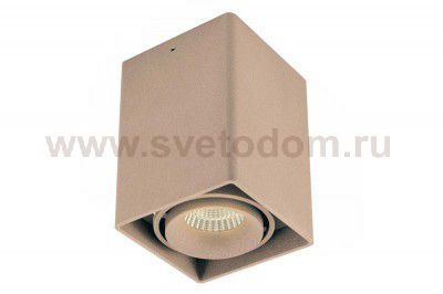 Светильник накладной Donolux DL18611/01WW-SQ Champagne