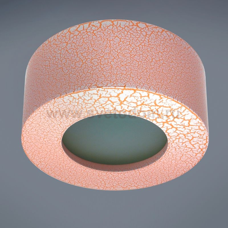 Светильник Donolux DL219G/1