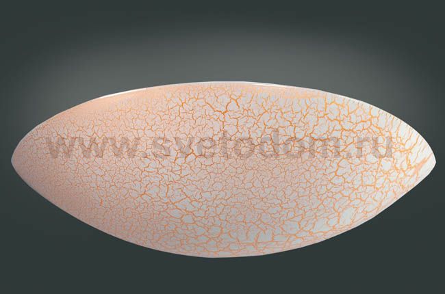 Накладной настенный Donolux DL222G/1W1