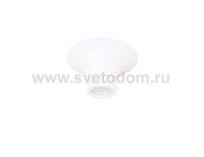 Накладной потолочный Donolux DL260G