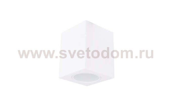 Накладной потолочный Donolux DL263G