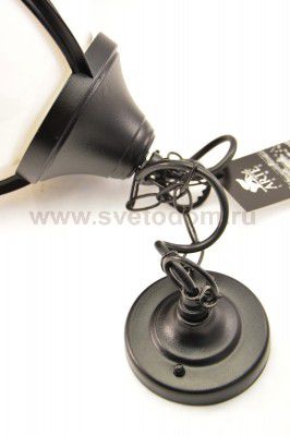 Светильник уличный Arte lamp A1495SO-1BK Monaco