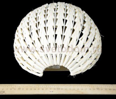 Светильник настенный бра Odeon light 2492/1W KENI