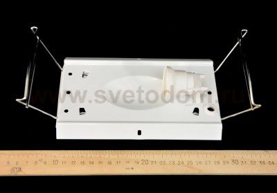 Светильник настенный бра Citilux CL921023 Коты