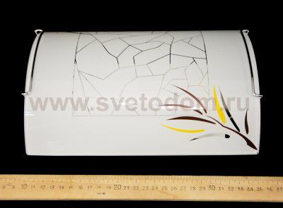 Светильник настенный бра Citilux CL921009R Ива