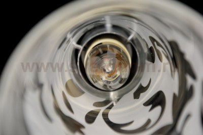 Светильник Colosseo 60317/1