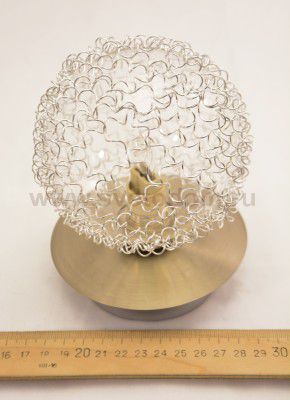 Потолочный светильник Odeon light 2460/1C ROXBY