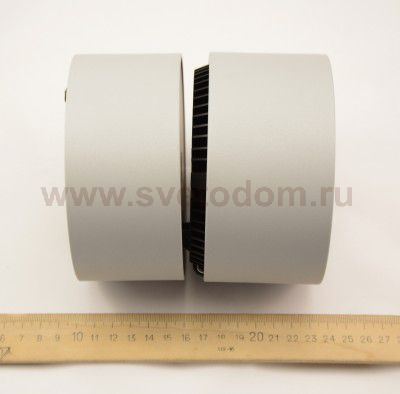 Светильник Lightstar 214819 FORTE