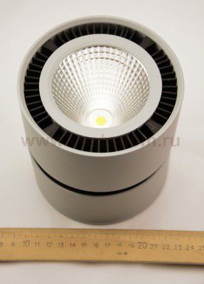 Светильник накладной светодиодный Lightstar 213839 Forte Muro