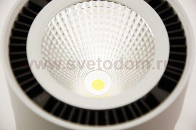 Светильник накладной светодиодный Lightstar 214839 Forte Muro