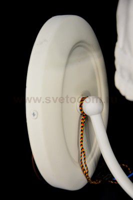 Светильник бра Maytoni ARM394-01-WG Forli