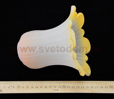 Светильник настенный бра Odeon light 2801/2W TAKALA