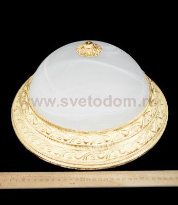 Светильник потолочный Arte lamp A8013PL-2WA Piatti