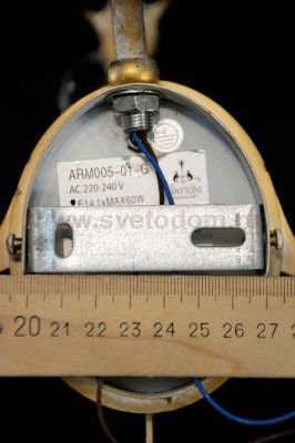 Светильник бра Maytoni ARM005-01-G Salute