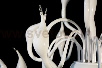 Люстра потолочная Lightstar 751186 Cigno Collo