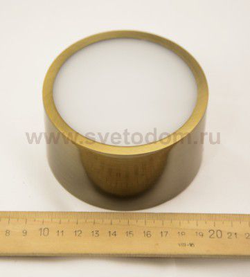 Светильник накладной светодиодный Lightstar 211911 Zolla