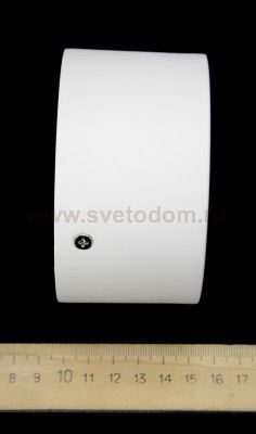 Светильник накладной светодиодный Lightstar 211916 Zolla