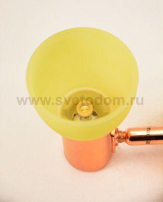 Светильник поворотный спот Eglo 94736 GLOSSY 2