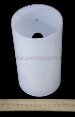 Настенно-потолочный светильник Eglo 91225 LUCCIOLA