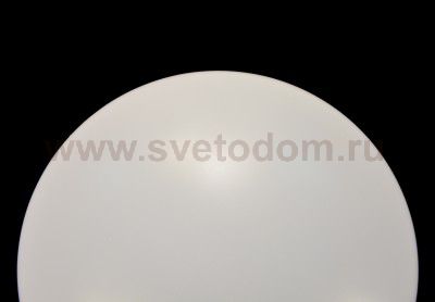 Сонекс SIMPL 2024/A настенно-потолочный светильник