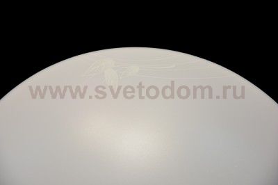 Сонекс AVA 2026/A настенно-потолочный светильник