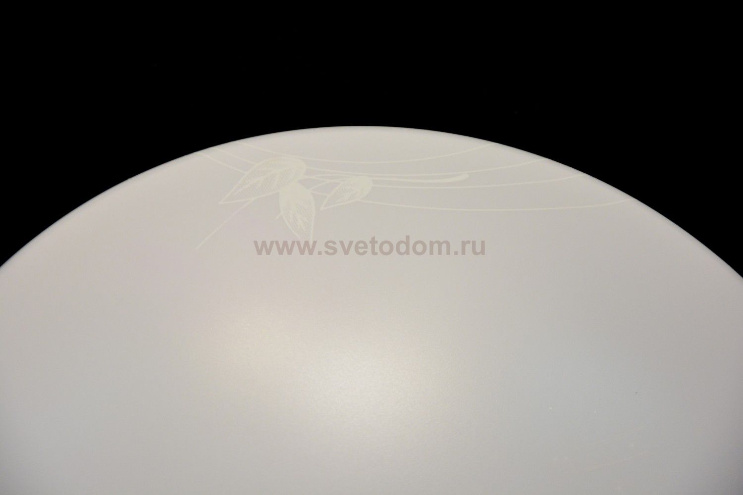 Сонекс AVA 2026/A настенно-потолочный светильник