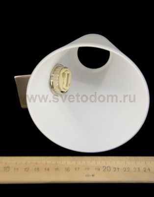 Настенный светильник Odeon light 2018/1W TURIN