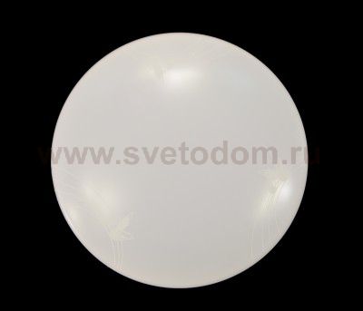 Сонекс AVA 2026/B настенно-потолочный светильник