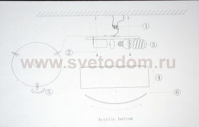 Потолочная люстра Favourite 1514-2C Cerchi
