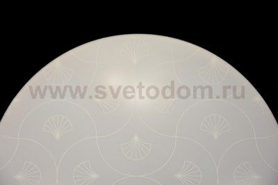 Сонекс LUKA 2025/C настенно-потолочный светильник