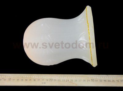 Светильник настенный бра Odeon light 2430/2W VARZA