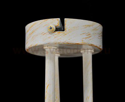 Светильник потолочный Arte lamp A5216PL-3WG MARTIN