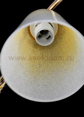 Светильник Colosseo 72301/5C optima