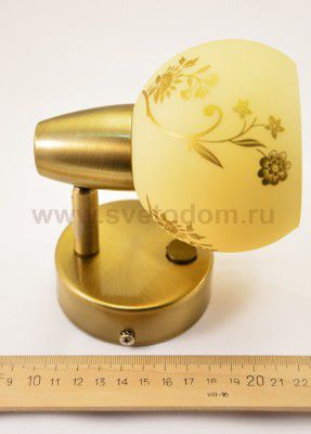 Светильник поворотный спот Citilux CL520513 Соната