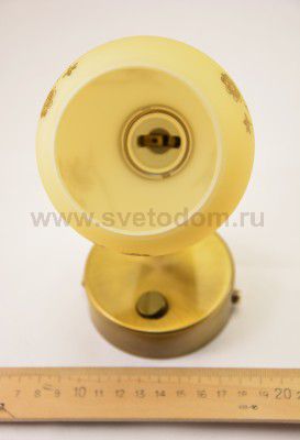 Светильник поворотный спот Citilux CL520513 Соната