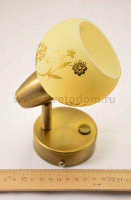 Светильник поворотный спот Citilux CL520513 Соната