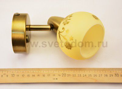 Светильник поворотный спот Citilux CL520513 Соната