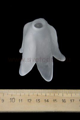 Люстра Colosseo 70408/12C Cristina