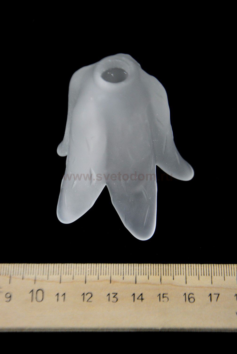 Люстра Colosseo 70408/12C Cristina